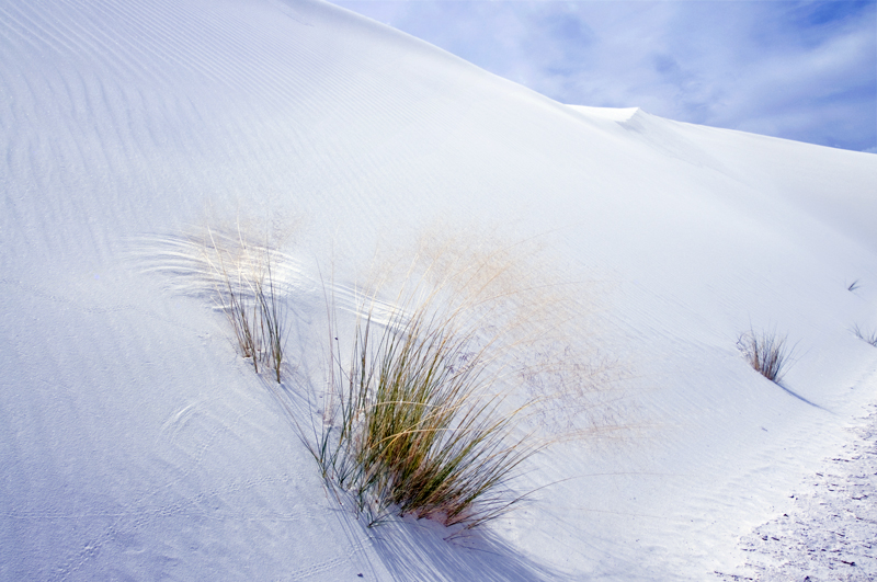 White Sands 2012